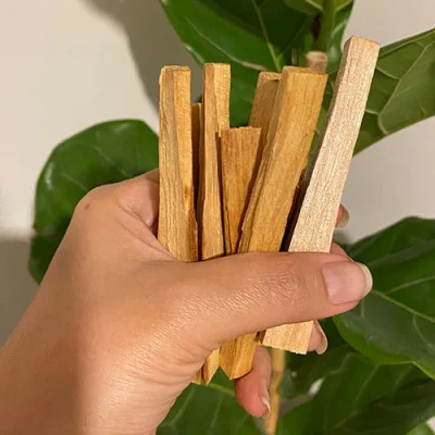 چوب پالو سانتو خرید