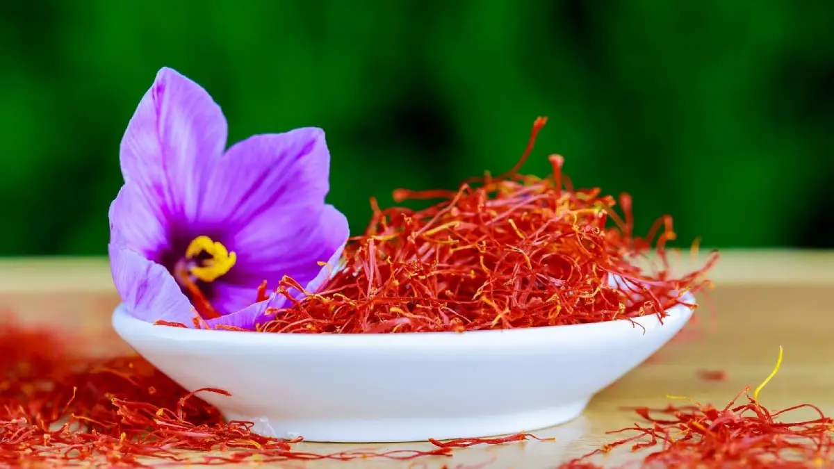 زعفران نگین